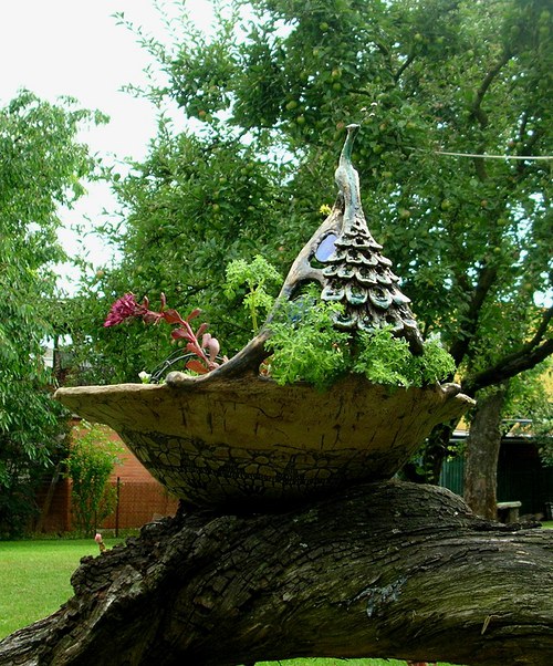 Ptačí pítko — foto 3