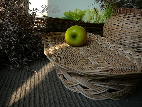 Ošatka přírodní oválná — foto 6