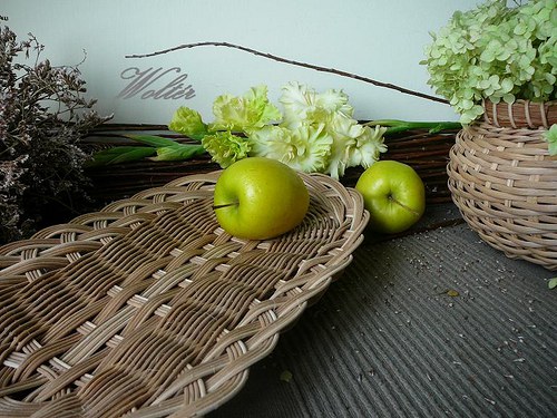 Ošatka přírodní oválná — foto 2