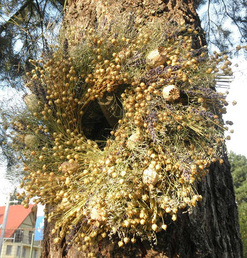 Lněný, krajkový — foto 2