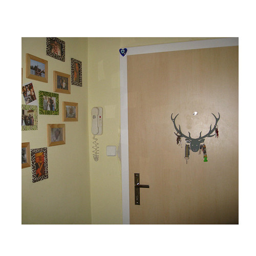 Jelen — foto 2