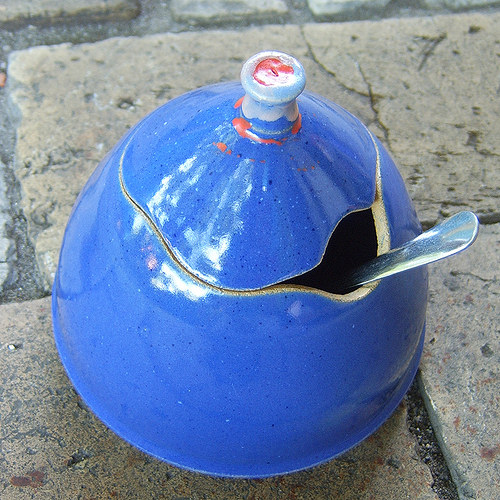 Cukřenka modře tlamatá — foto 2