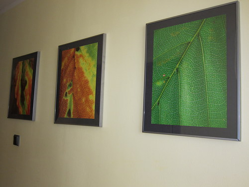 Zelená struktura — foto 2