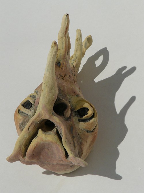 Závojnatka hubatá — foto 2
