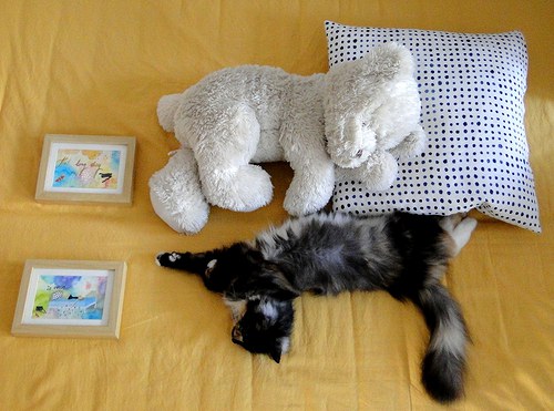 The long day is over — foto 6