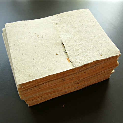 Svatební oznámení včeličkové — foto 3