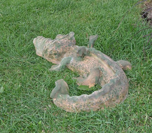 Krokodrak — foto 5