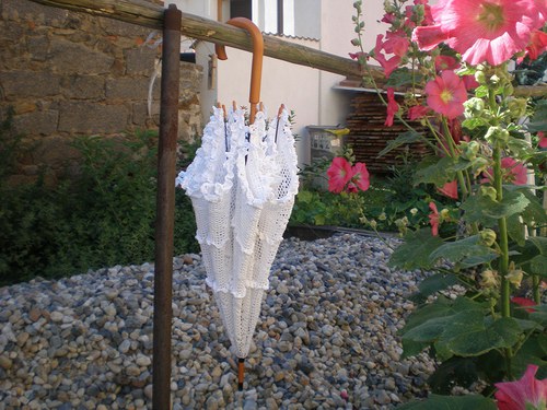 Háčkovaný slunečník — foto 5