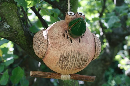 Pták Kulák Zelenáč — foto 2