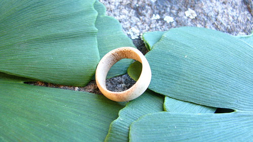 Prsten jelení IV — foto 2