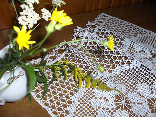 Kopretinková záclonka — foto 3