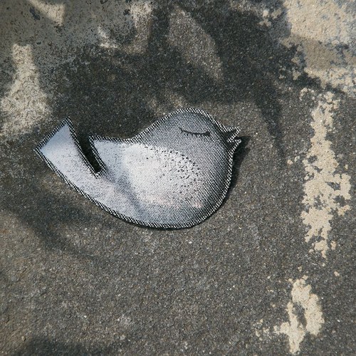 Brož- Ptáček — foto 3