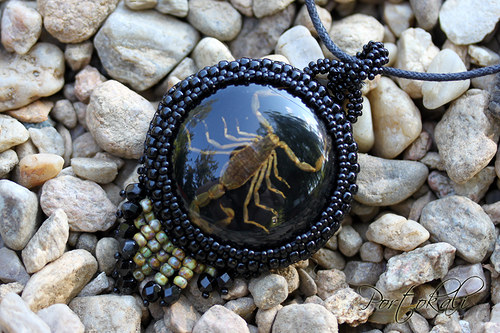 Proud to be a Scorpio 2 — foto 3