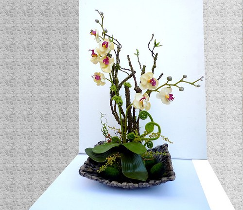 Aranžovaná dekorace Orchidea amazonská — foto 3