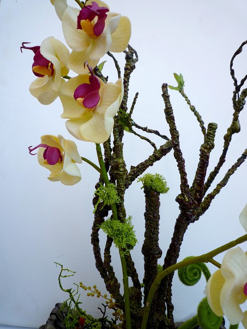 Aranžovaná dekorace Orchidea amazonská — foto 5