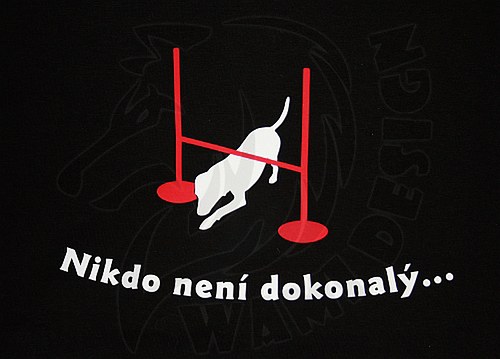 Tričko "Nikdo není dokonalý" černé — foto 2
