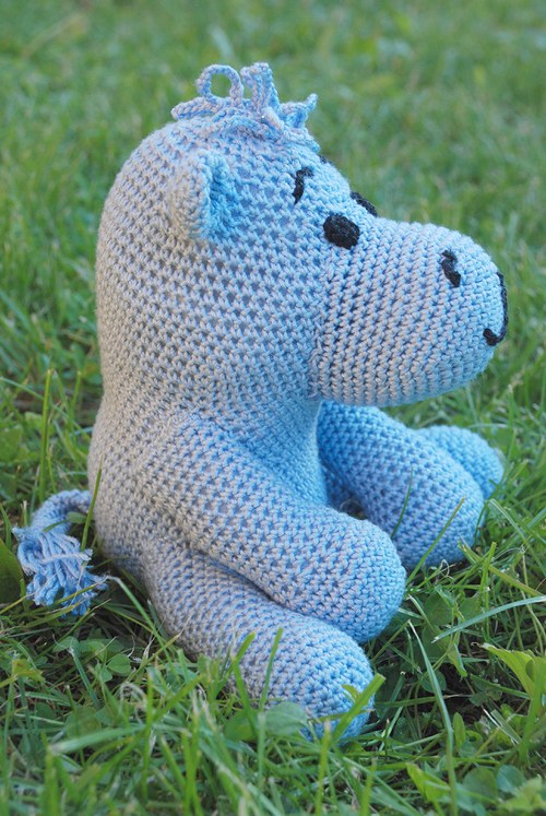 Hrošík — foto 3