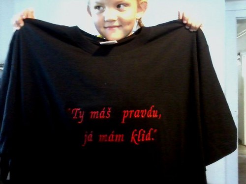 Triko-"Ty máš pravdu, já mám klid." — foto 2