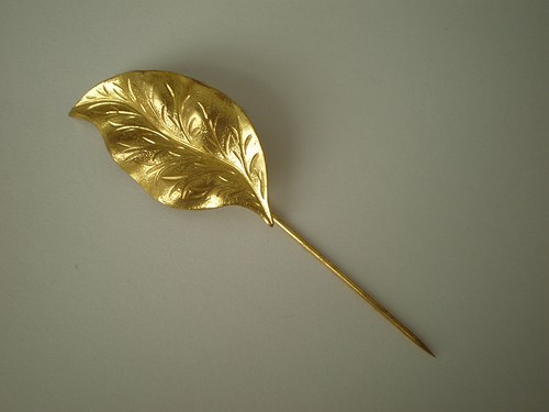 Špendlík list ... — foto 2