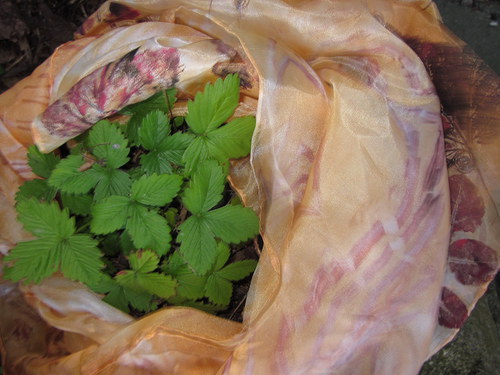 ,,Kam mě vítr ponese“ — foto 3