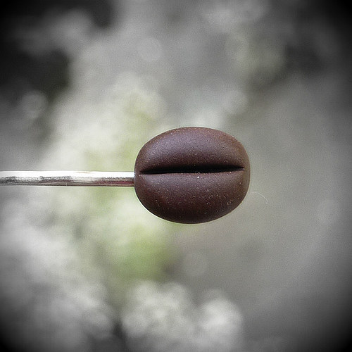 Coffee — foto 4