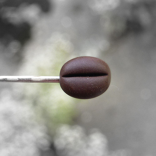 Coffee — foto 5