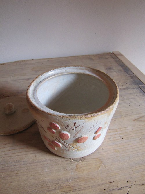 Slánka velká — foto 3