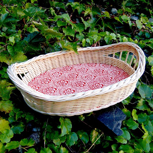 Červená krajka — foto 3
