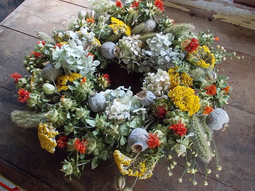 Letní obřík — foto 3