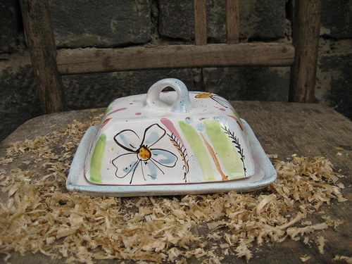 Hranatá máselnice v trávě — foto 2