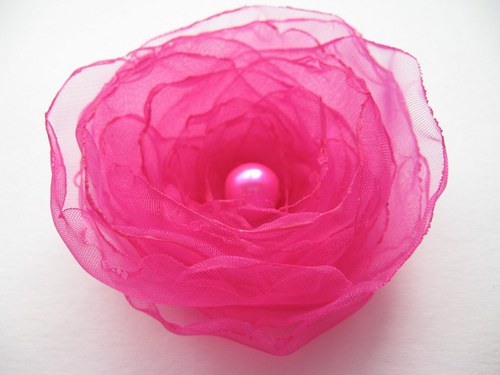 Fuchsie... — foto 2