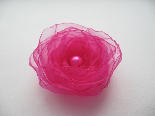 Fuchsie... — foto 3