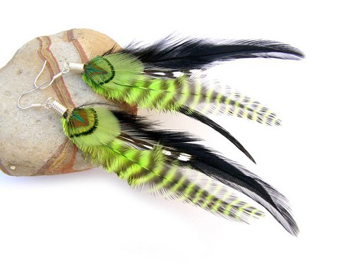Green Zebra — foto 2