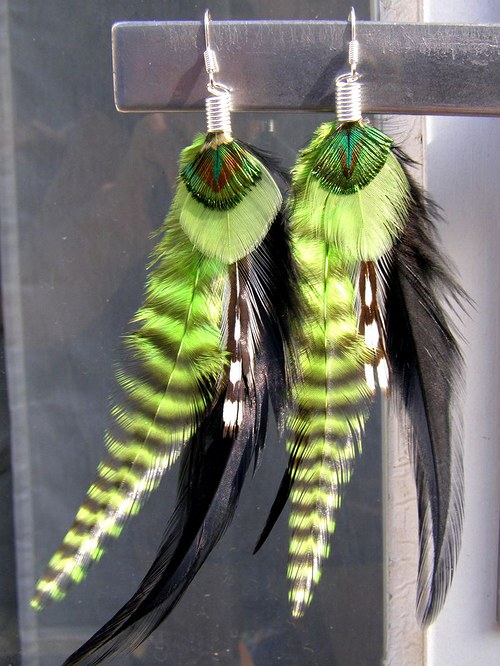 Green Zebra — foto 5
