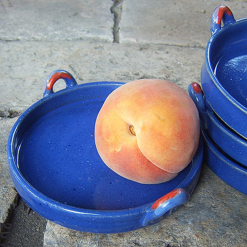 Talířek modráček — foto 4