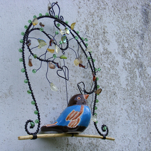 Modrásek — foto 5