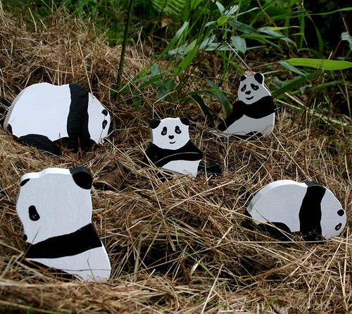 Pandománie — foto 6
