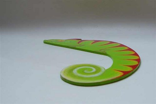 Hlídací chameleon — foto 2
