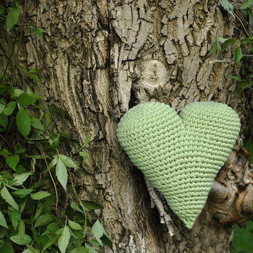 I stromy mají srdce... — foto 2