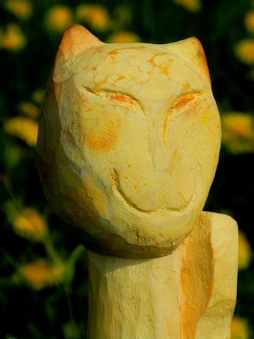 Kočkování 50 cm — foto 2