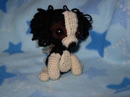 Kavalír king charles španěl — foto 3