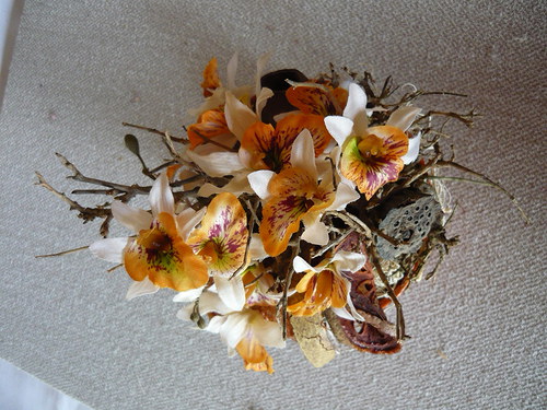 Orchidea v oranžovém — foto 2