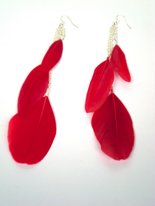 RedandBlueBird.... together — foto 2