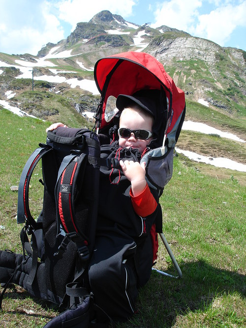 Obal - vak Bear — foto 2