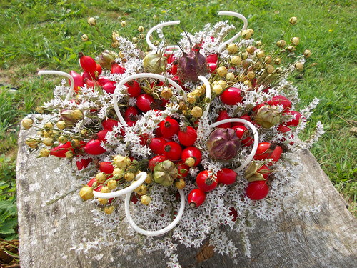 Šípkobraní — foto 3