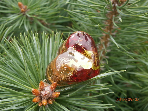 Andělské vábení — foto 2