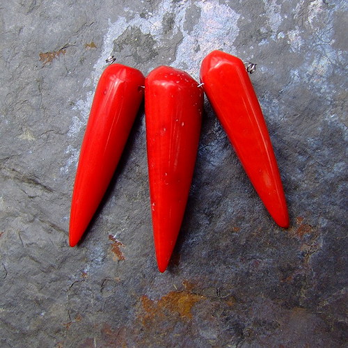 Korál: chilli papričky — foto 2