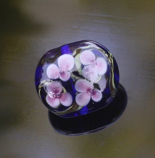Sakura — foto 2