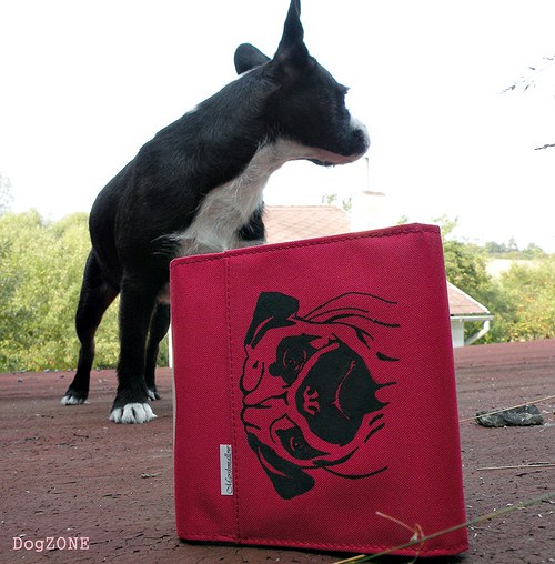 MoPSÍK .. šrajtofle — foto 4