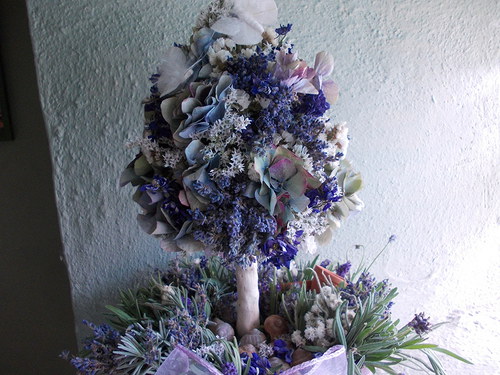 Sen o stromu v Provence — foto 3